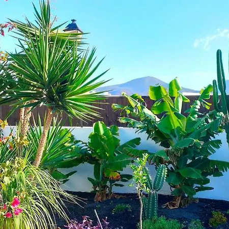 Fedelian 2 * Playa Blanca (Lanzarote)