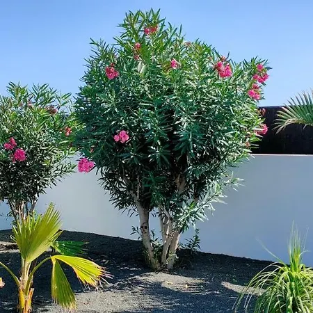 Villa Fedelian 2 Playa Blanca (Lanzarote)